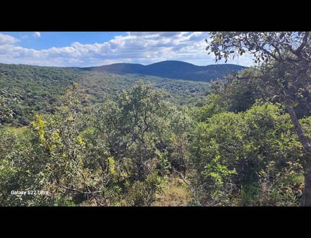 FARM FOR SALE IN OLIFANTSHOEK